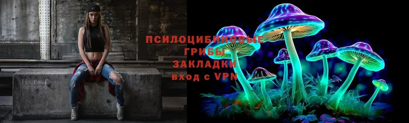 купить   Черкесск  Псилоцибиновые грибы Psilocybine cubensis 